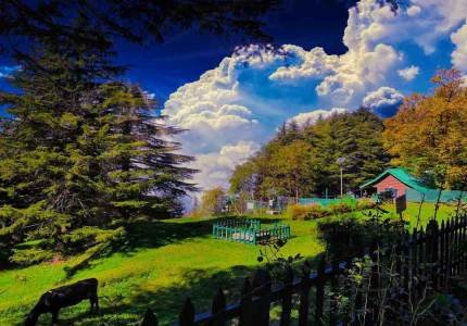 5 Days Dalhousie Dharamshala Tour